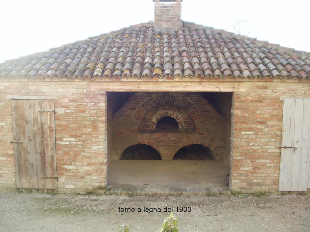 Agriturismo Principe Pio Crespino Exterior foto